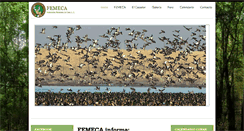 Desktop Screenshot of femeca.com