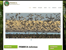 Tablet Screenshot of femeca.com